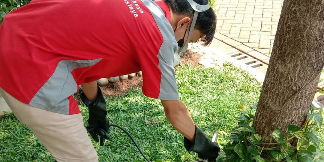 Kenali Ciri Serangan Rayap Bersama Jasa Anti Rayap Bekasi Terpopuler