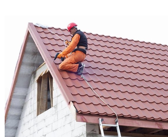 Atap Bocor hingga Muncul Rayap, Kenali Tanda Rumah Perlu Renovasi