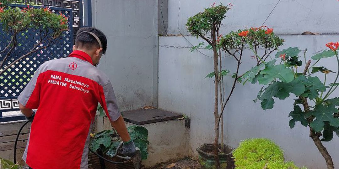 Layanan Jasa Semprot dan Anti Rayap di Leles Cianjur Ampuh Basmi Hingga ke Telurnya