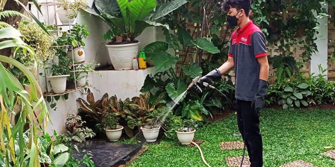 Pengen Rumah Terlindungi Dari Rayap Pakai Jasa Semprot dan Basmi Hama di Tanggeung Cianjur