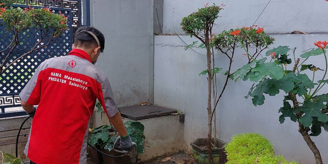 Pilih Jasa Semprot Anti Rayap Terbaik di Cikalongkulon, Bebas Rayap Selamanya