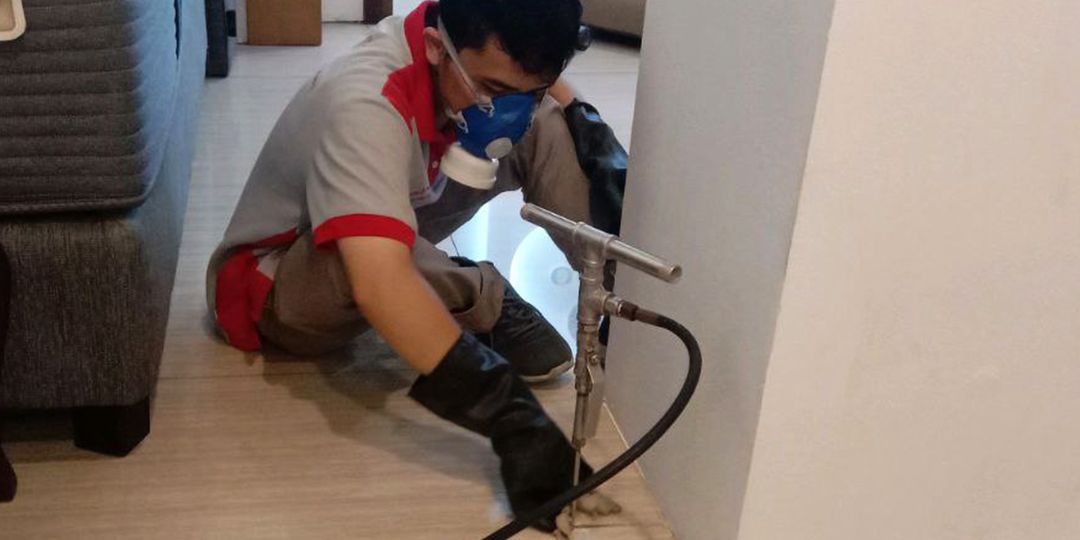 Atasi Serangan Rayap dengan Jasa Basmi & Semprot Profesional di Serdang