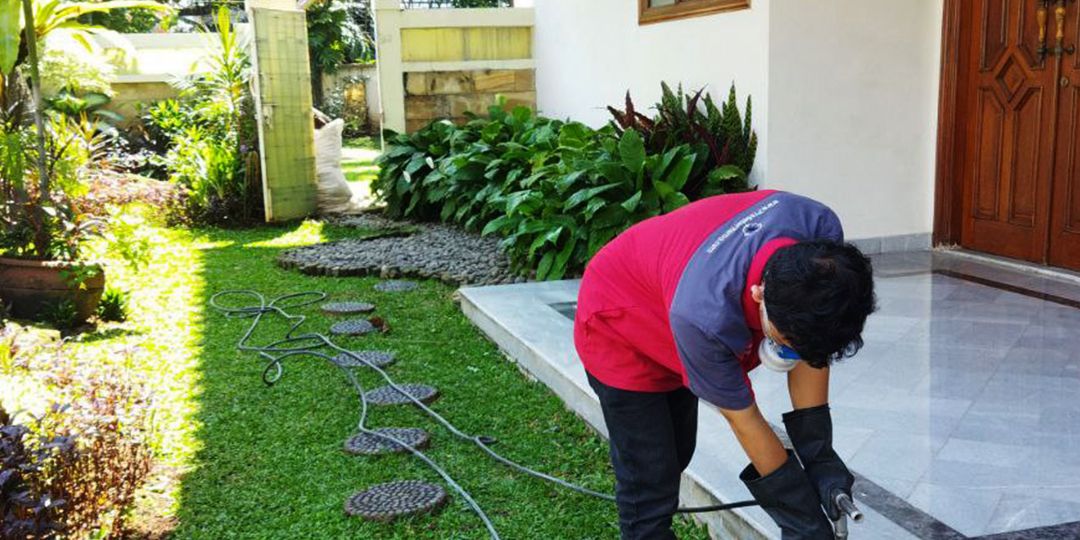 Butuh Jasa Semprot & Anti Rayap di Kampung Rawa Yuk Cegah Kerusakan Sebelum Terlambat!