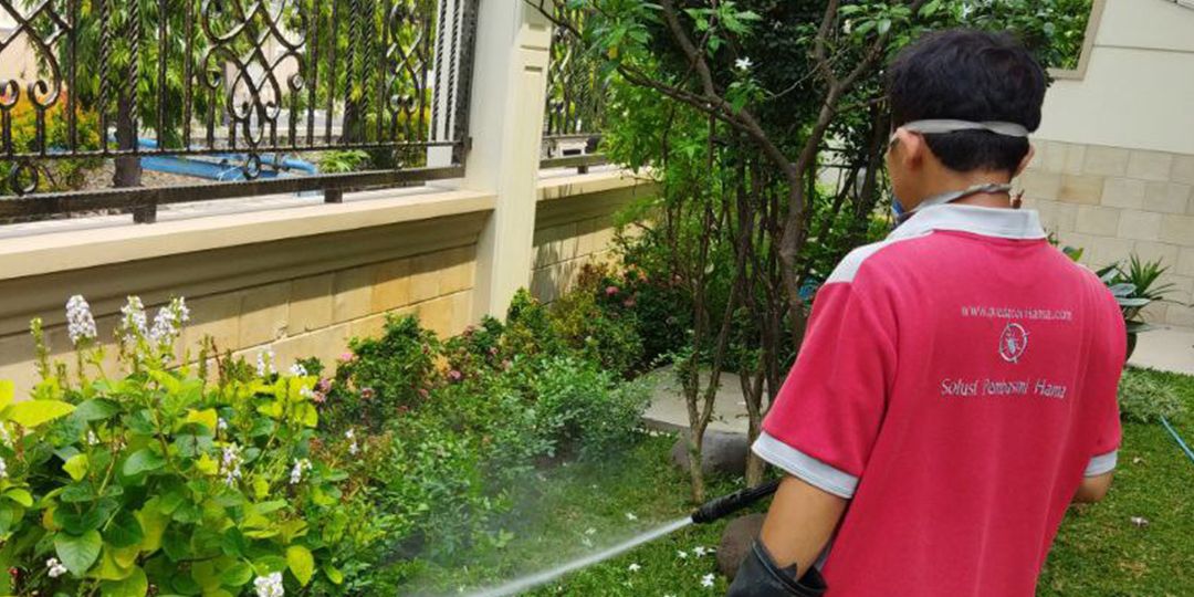 Cegah Kerusakan Akibat Rayap! Gunakan Jasa Basmi & Semprot Anti Rayap di Cempaka Baru