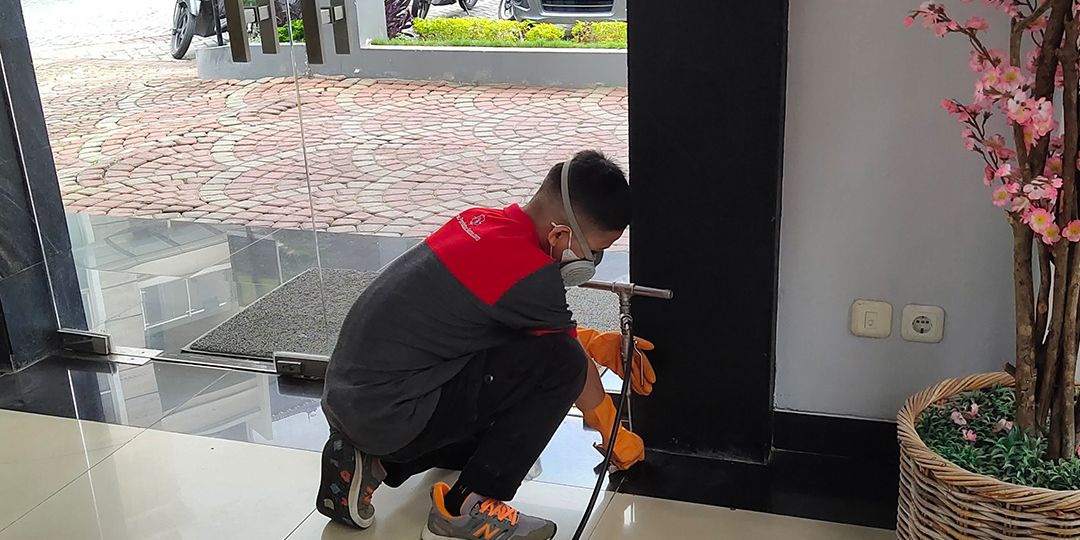 Gunung Sahari Utara Bebas Rayap! Jasa Semprot & Anti Rayap Terpercaya di Sini