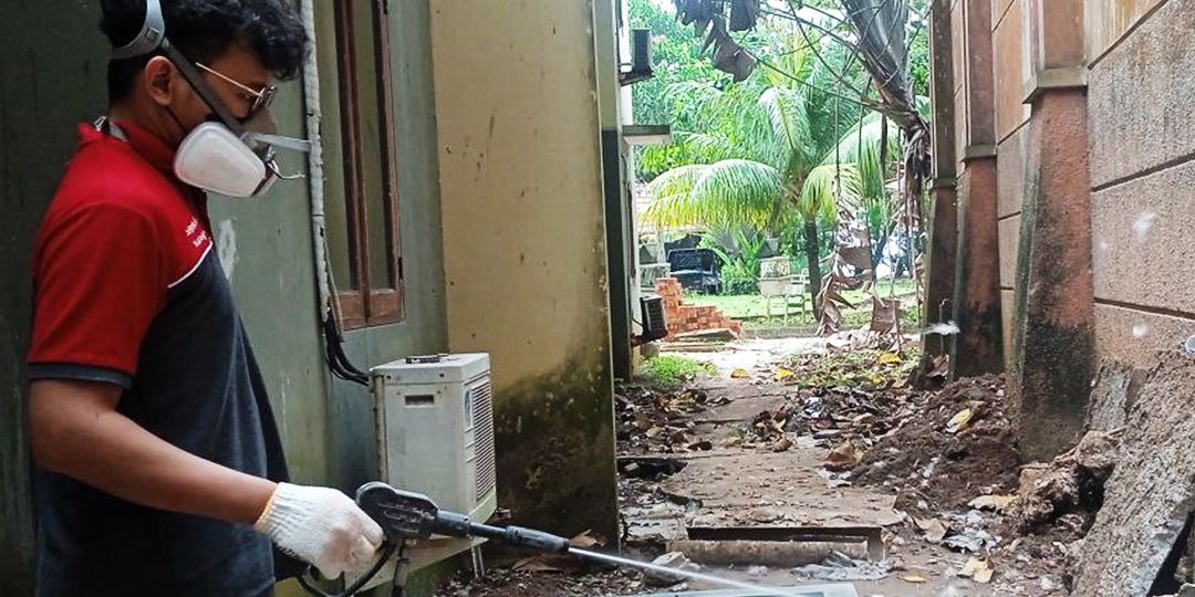 Jasa Basmi Rayap di Galur Johar Baru Layanan Cepat dan Ampuh
