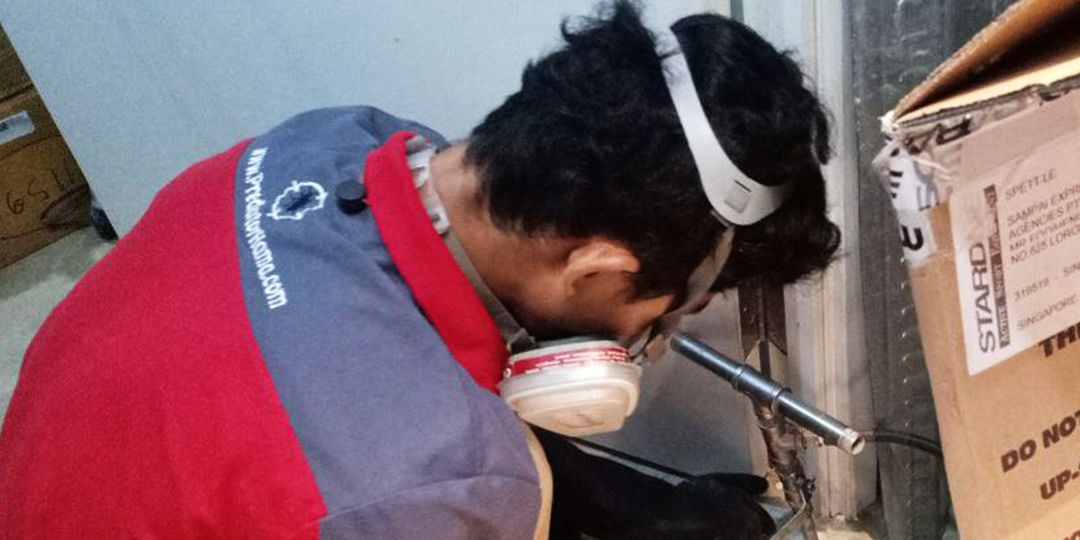 Jasa Basmi Rayap di Gondangdia Lindungi Rumah dan Bisnis Anda dari Serangan Rayap!