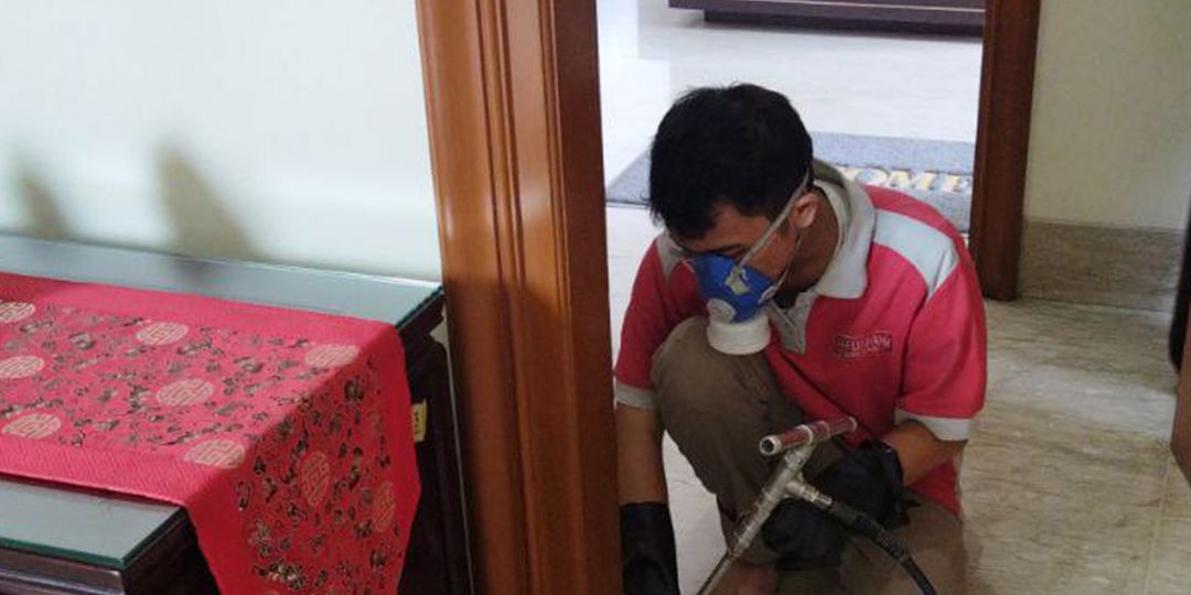 Jasa Basmi, Semprot, dan Anti Rayap di Cideng Paling Ampuh Atasi Hama Bangunan