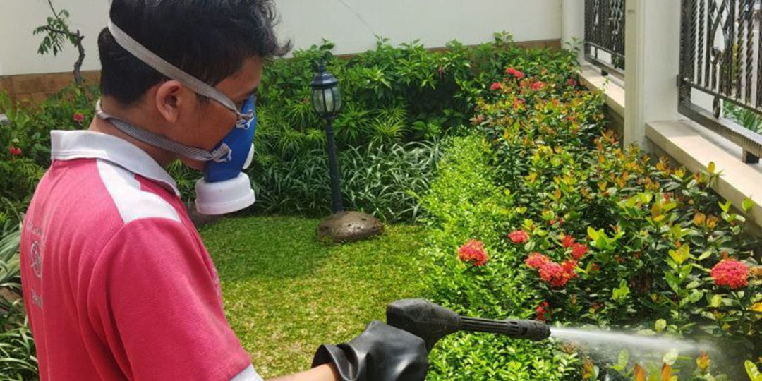 Jasa Basmi, Semprot, dan Anti Rayap di Duri Pulo, Solusi Terbaik Lindungi Bangunan dari Hama