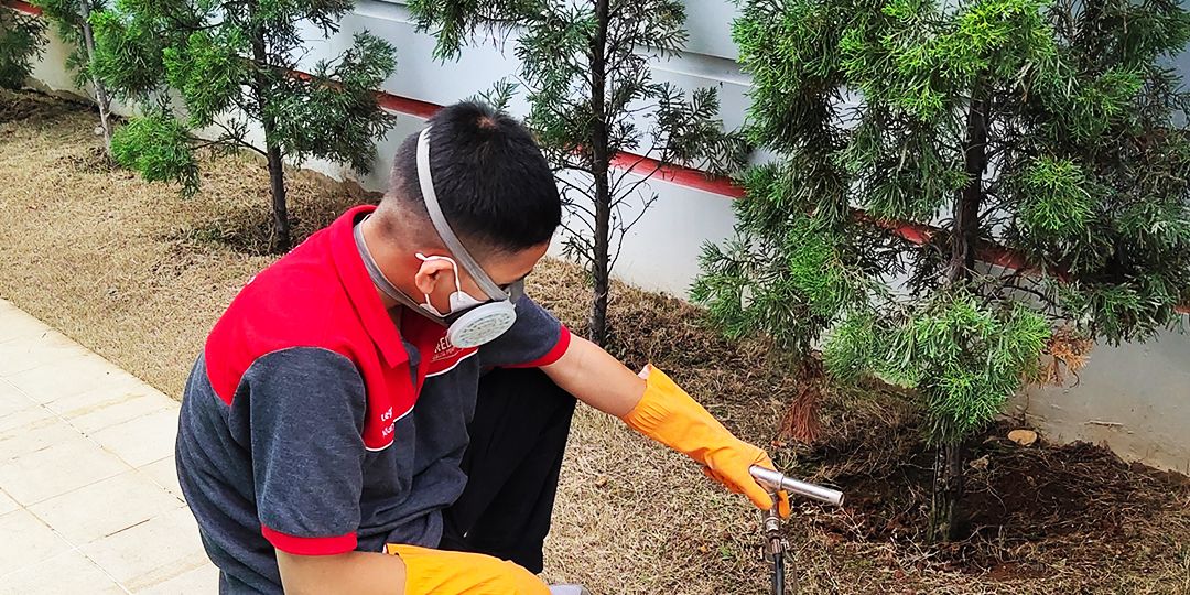 Jasa Pembasmi Rayap di Pegangsaan Cegah Kerusakan Bangunan dengan Perlindungan Terbaik!