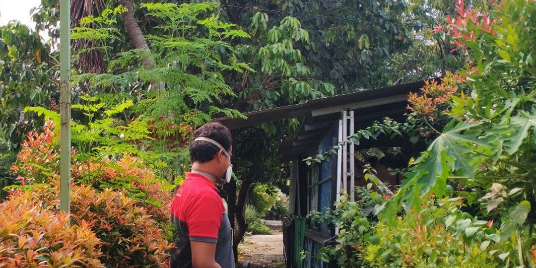 Jasa Semprot & Anti Rayap di Kebon Kosong Solusi Efektif untuk Rumah dan Kantor Bebas Rayap