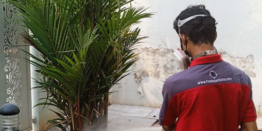 Jasa Semprot & Anti Rayap di Kebon Sirih Menteng Jakarta Pusat Perlindungan Maksimal, Bebas Rayap Selamanya!