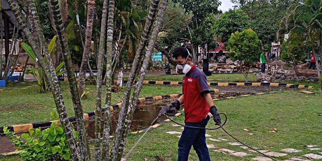 Jasa Semprot, Basmi, dan Anti Rayap di Bungur Solusi Ampuh Melindungi Bangunan Anda!