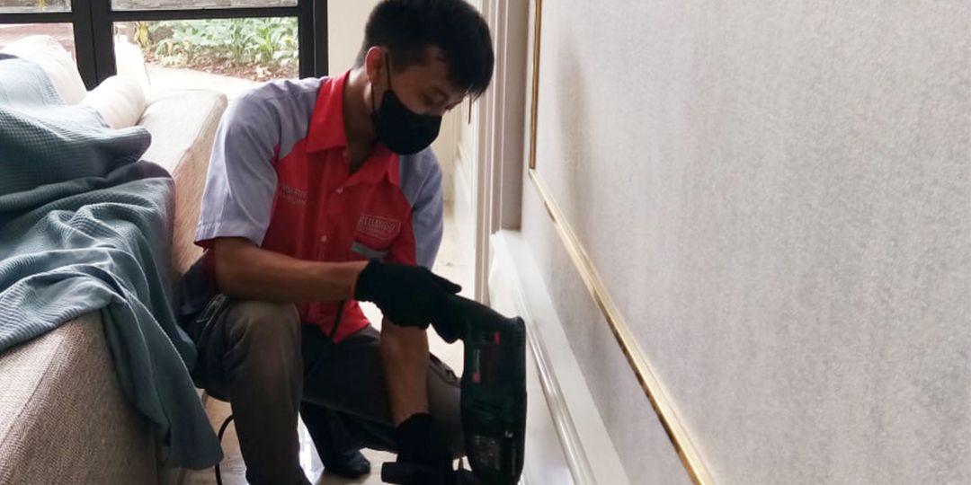 Jasa Semprot, Basmi, dan Anti Rayap di Kramat, Yuk Berikan Perlindungan Total dari Ancaman Rayap!