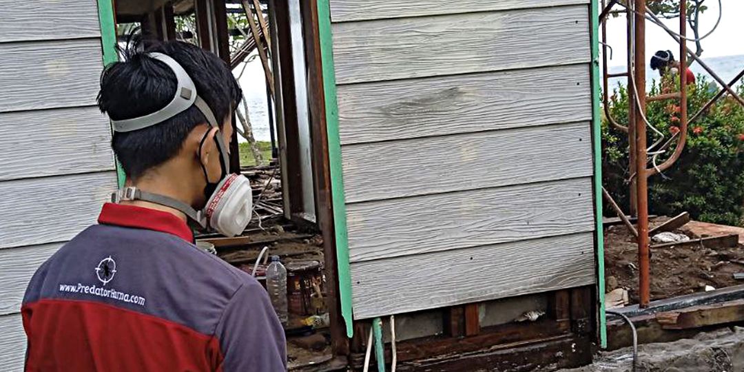 Layanan Basmi Rayap di Karang Anyar Solusi Efektif untuk Rumah dan Kantor!