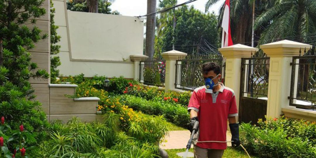 Layanan Jasa Basmi Rayap di Tanah Tinggi Rumah Bebas Rayap, Hidup Lebih Nyaman