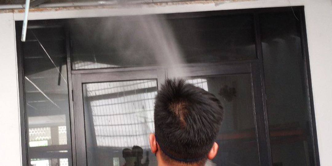 Butuh Jasa Basmi Anti dan Semprot Rayap di Sindang Jaya Ini Solusi Cepat dan Efektifnya!