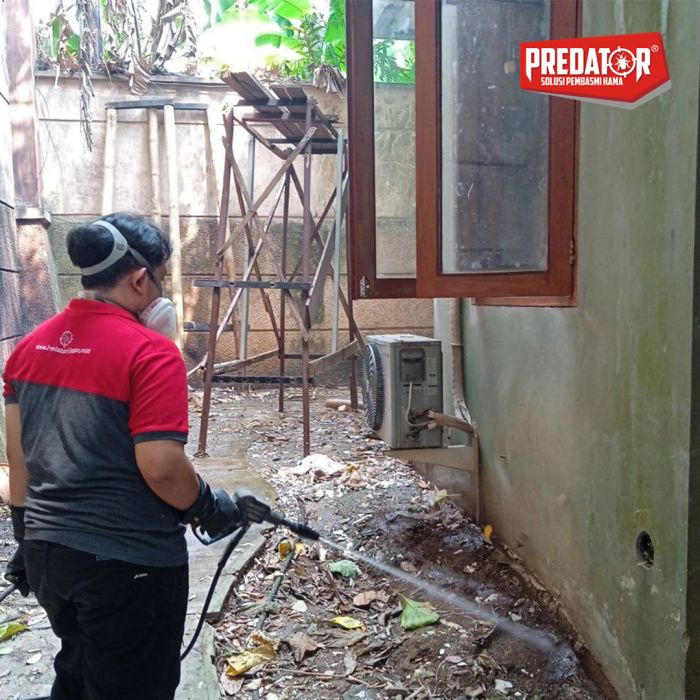 Jasa Anti Rayap Terpercaya di Sarakan Hentikan Serangan Rayap Sekarang Juga!