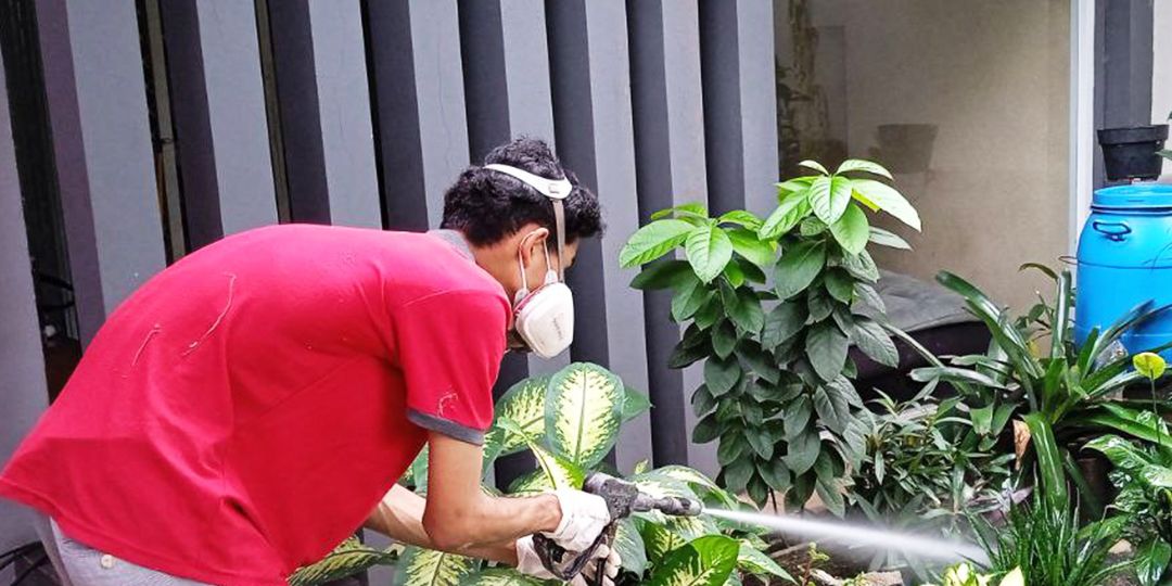 Jasa Basmi, Anti, dan Semprot Rayap Terbaik di Sindangasih Rumah Aman Bebas Rayap Selamanya!