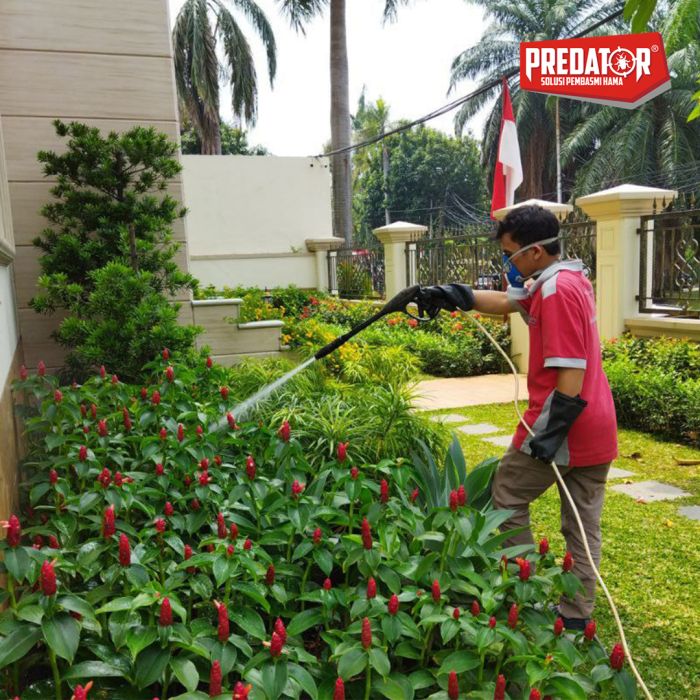 Jasa Basmi Rayap Terbaik di Sangiang Rumah Bersih Bebas Gangguan Rayap!