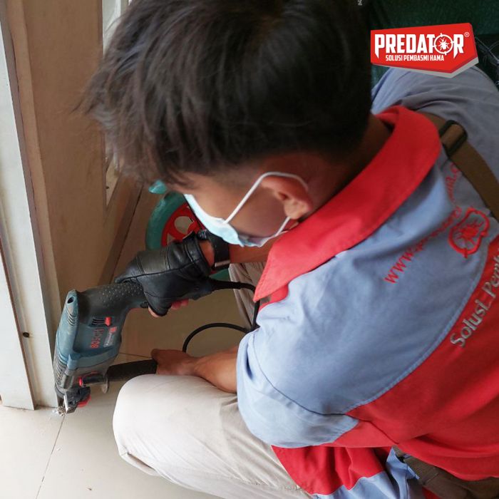 Jasa Semprot dan Anti Rayap di Pondok Kelor Solusi Rumah Bebas Rayap