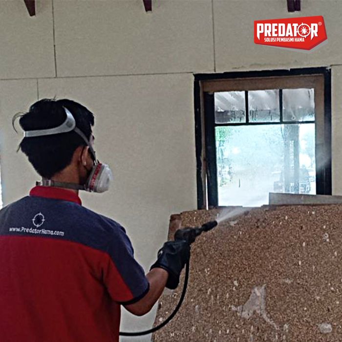 Jasa Semprot dan Basmi Rayap di Kedaung Barat Aman Efektif dan Terbukti!