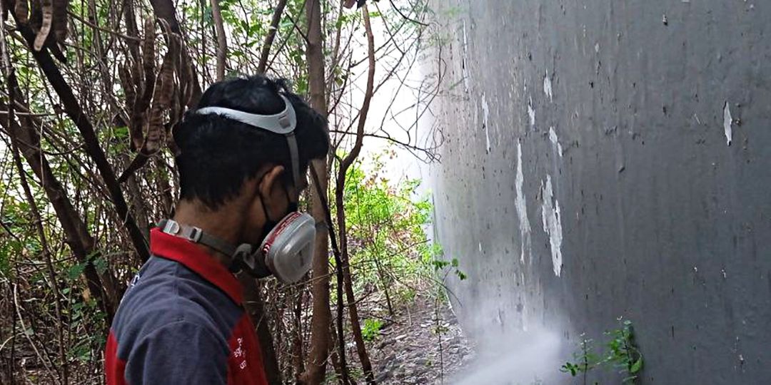 Layanan Anti Rayap Terpercaya di Sindang Panon Basmi Rayap Hingga ke Akar!