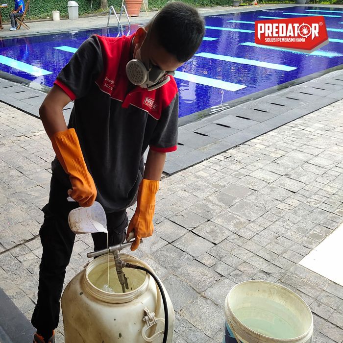 Rayap Bikin Resah Gunakan Jasa Basmi dan Semprot Profesional di Gempol Sari