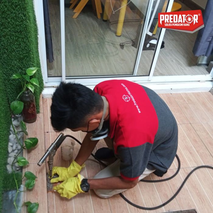 Rayap Bisa Hancurkan Rumah! Cegah Sekarang dengan Jasa Anti Rayap di Lebak Wangi