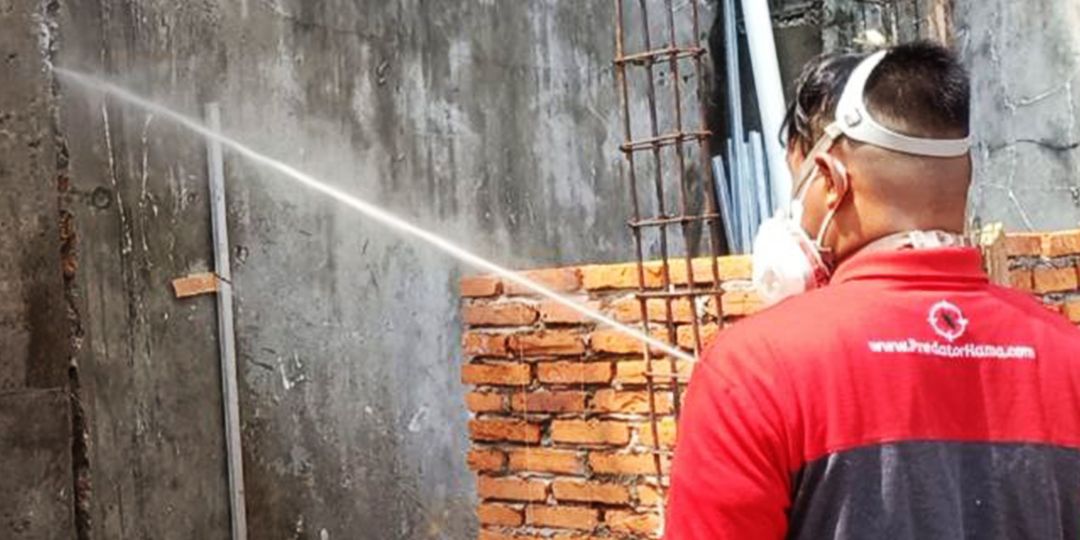 Solusi Ampuh Basmi Rayap di Sukadamai Jasa Semprot dan Perlindungan Jangka Panjang
