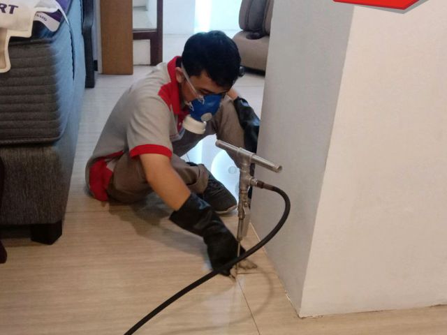 Butuh Jasa Basmi Rayap di Merak Ini Layanan Semprot dan Anti Rayap Paling Direkomendasikan