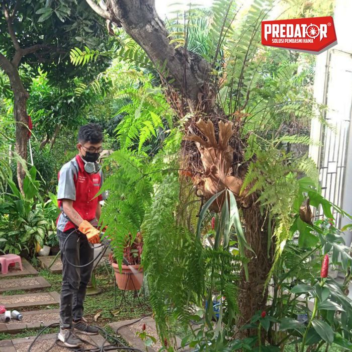 Jasa Anti Rayap Terpercaya di Karang Serang Rumah Aman Bebas Gangguan Serangga