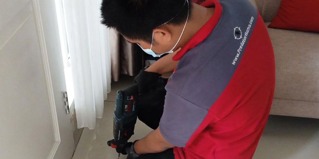 Jasa Basmi & Semprot Rayap di Poris Gaga Baru & Poris Jaya Rumah Tetap Aman dan Nyaman