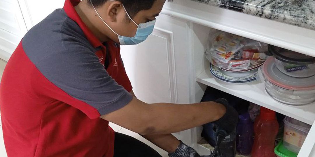 Jasa Semprot & Anti Rayap di Bojong Renged yang Ampuh & Terpercaya