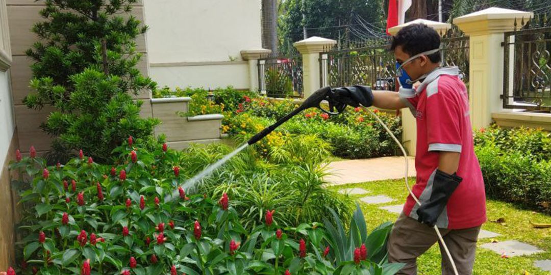 Jasa Semprot dan Anti Rayap di Parahu Perlindungan Total untuk Rumah Anda