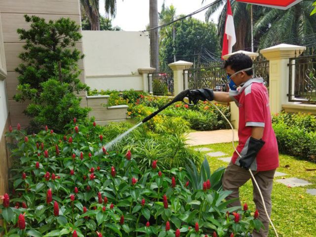 Jasa Semprot dan Anti Rayap di Parahu Perlindungan Total untuk Rumah Anda