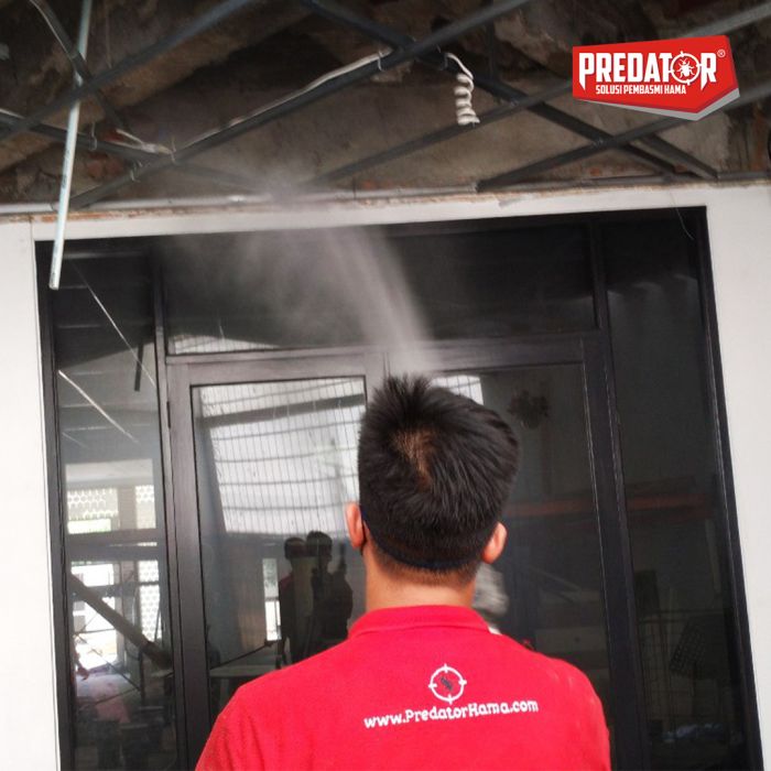 Lindungi Rumah dari Rayap dengan Jasa Semprot Terbaik di Pekayon