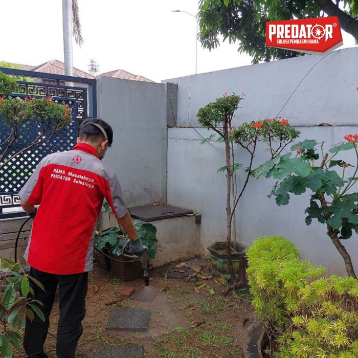 Ahli Pembasmi dan Semprot Rayap Profesional di Suka Asih dan Sukarasa