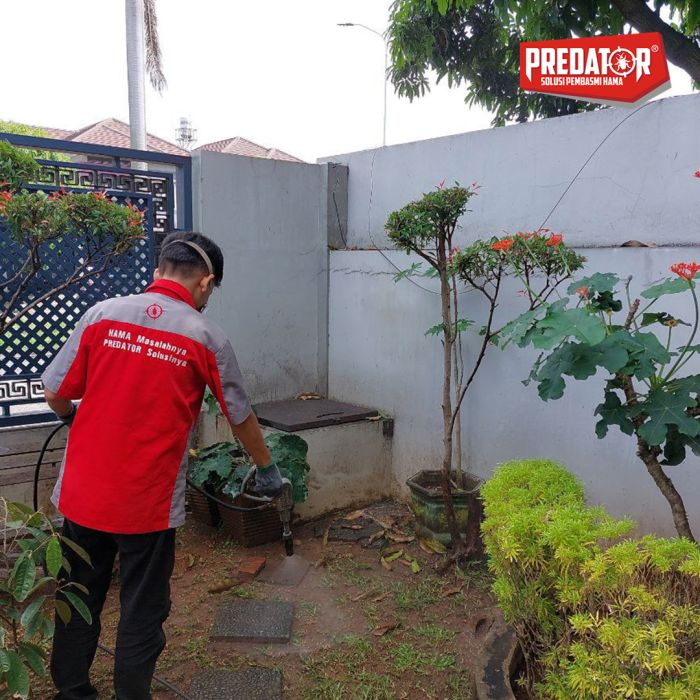 Basmi Rayap dan Pembasmi Rayap Cepat di Pakojan dan Panunggangan
