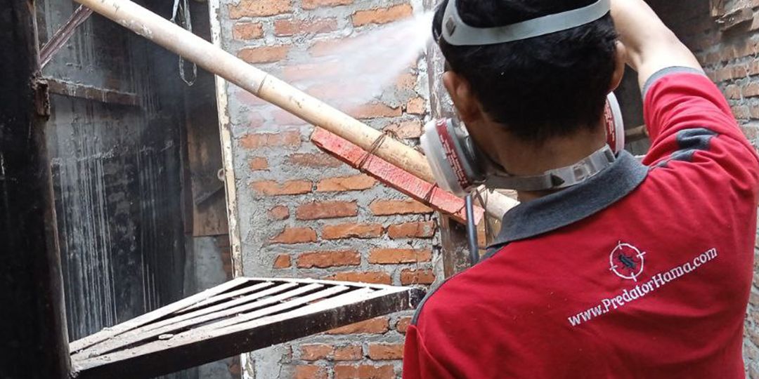 Jasa Anti dan Pembasmi Rayap Andal di Nusa Jaya dan Pabuaran Rumah Aman Terlindungi