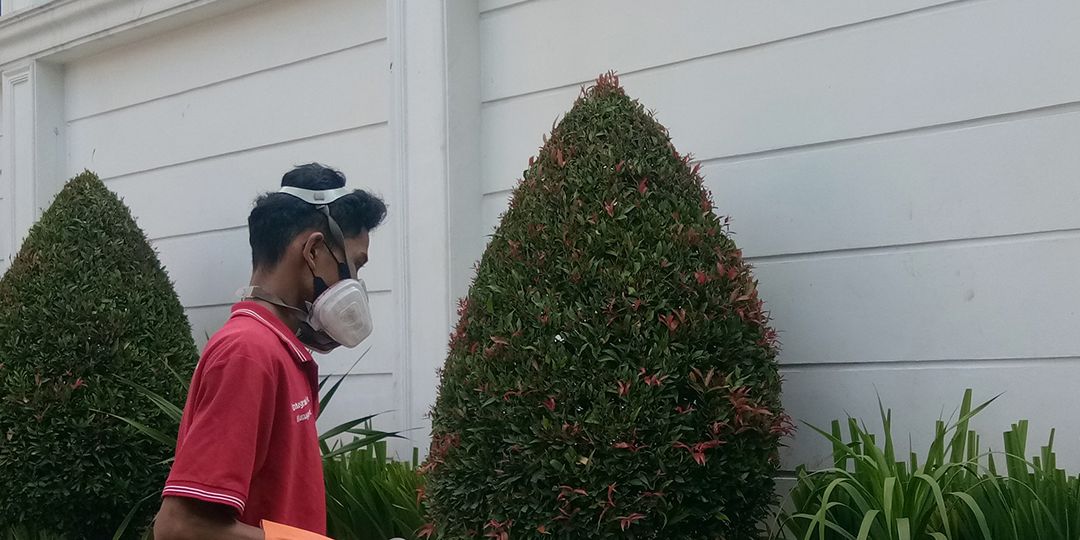 Layanan Basmi Rayap dan Anti Rayap di Pinang dan Sudimara Pinang