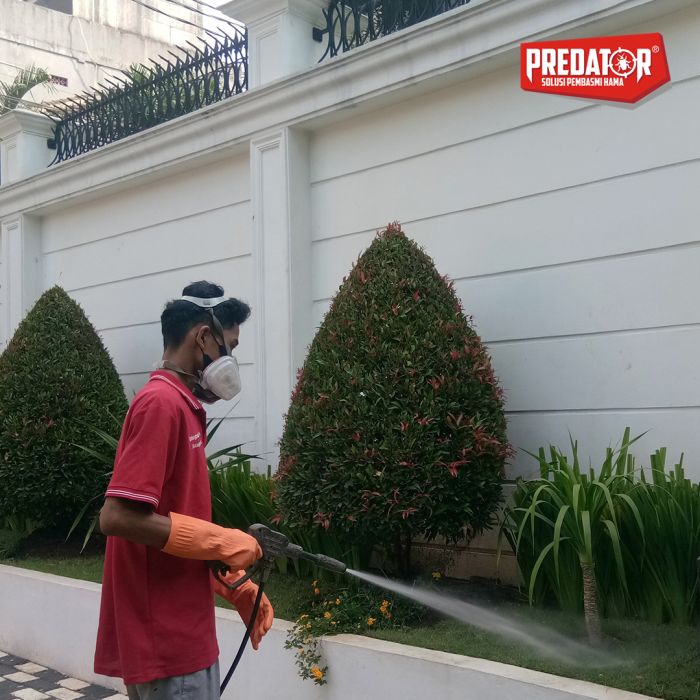 Layanan Basmi Rayap dan Anti Rayap di Pinang dan Sudimara Pinang