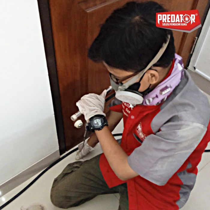 Pembasmi Rayap dan Layanan Anti Rayap Terpercaya di Kunciran dan Kunciran Indah
