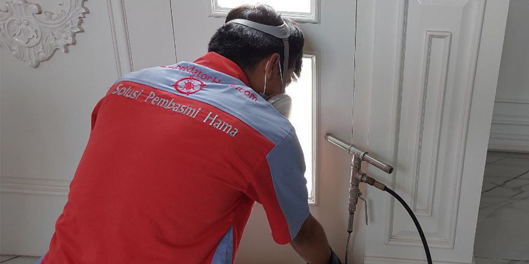 Solusi Anti Rayap dan Pembasmi Rayap Ampuh di Periuk dan Periuk Jaya