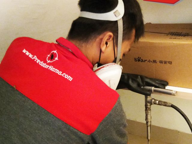 Basmi Rayap dan Layanan Anti Rayap untuk Warga Cipayung dan Cempaka Putih