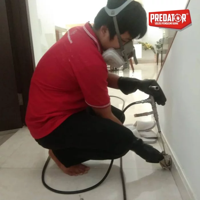 Jasa Anti Rayap & Semprot Hama di Jatisari dan Jatikarya, Bebas dari Koloni Rayap!